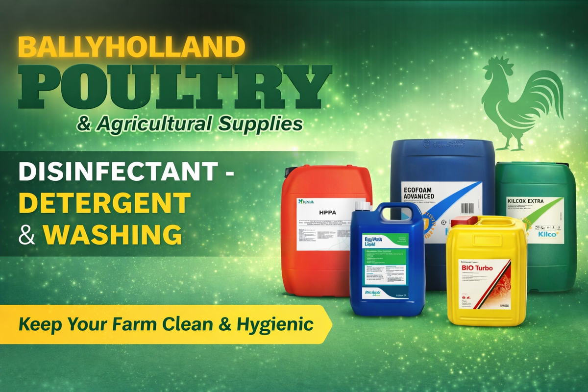 Disinfectant, Detergent & Washing — Ballyholland Poultry