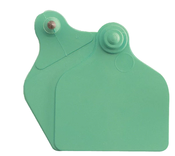 Ear tag Maxi + Maxi (71 mm x 63 mm) | 20 pieces | green