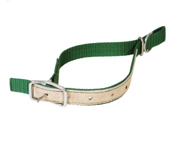 horizont Nylon neck strap for sheep | leather reinforced | green