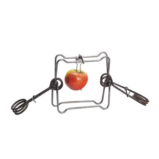 Metal trap with an apple hanging in the center.