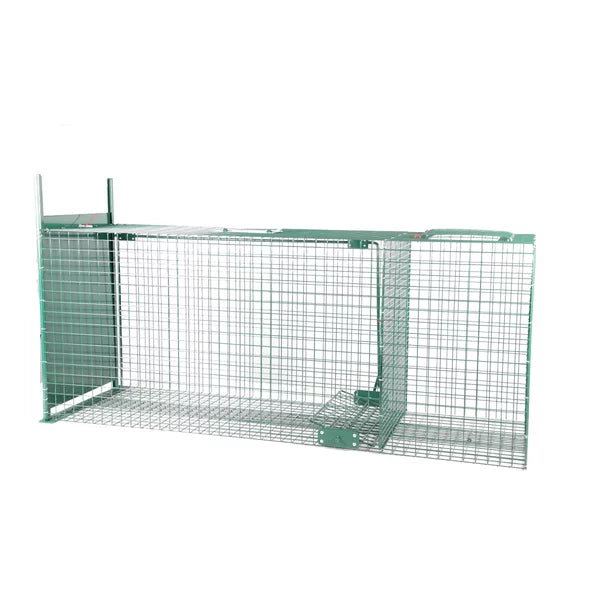 BoxTrap Live Trap with Sliding Door