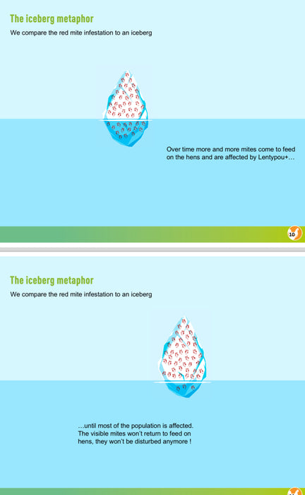 An illustration of an iceberg metaphor for red mite infestation in poultry.