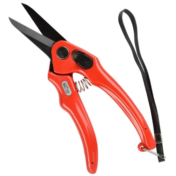 B&B claw scissors | serrated