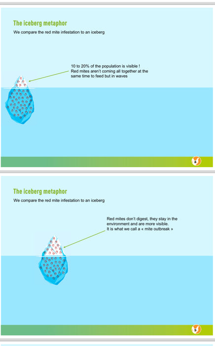 An illustration of an iceberg metaphor for red mite infestation.