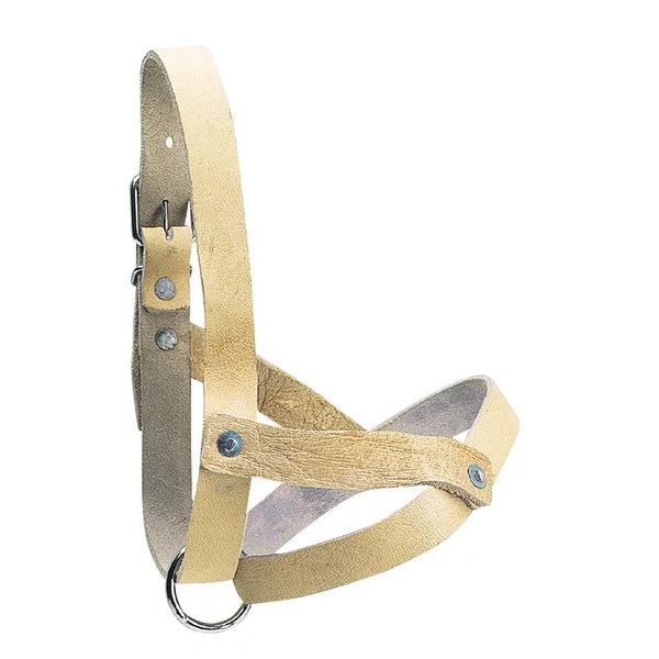 KAMER leather halter for sheep | white