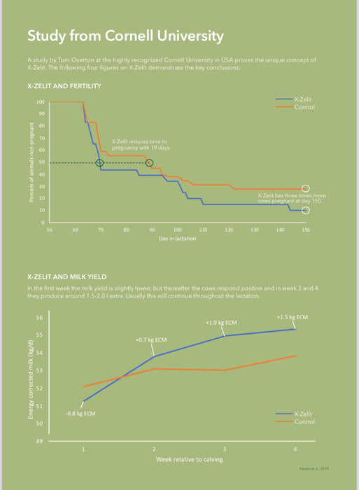 Cornell University study shows X-Zelit improves cow fertility and milk yield.