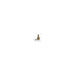 Brass adapter for spiral hose for end line - 5717
