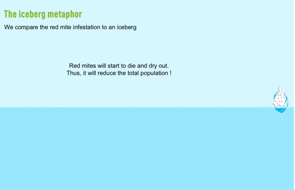 A slide with the title "The iceberg metaphor" and text about red mites.