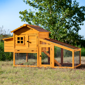 Wooden hen house with attached enclosed run and ramp.