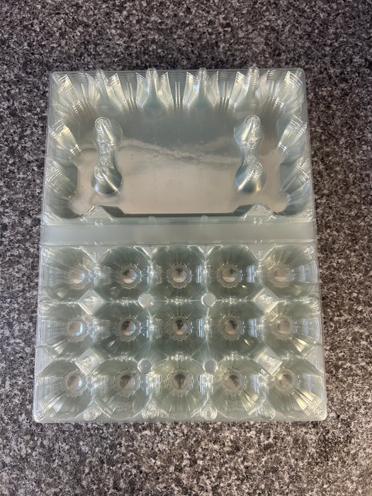 Plastic 15 Egg Box