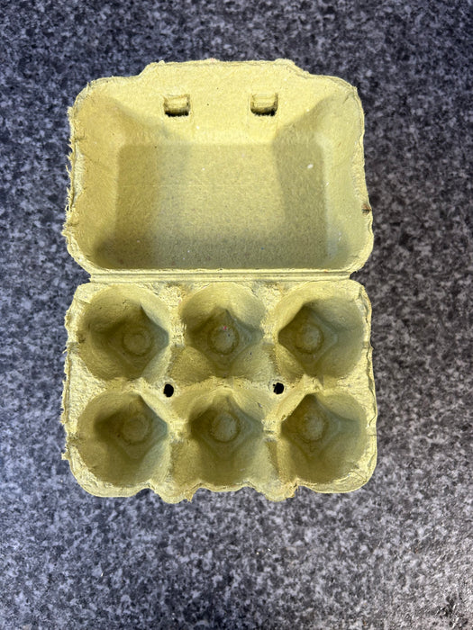 Green 1/2 Dozen Egg Boxes