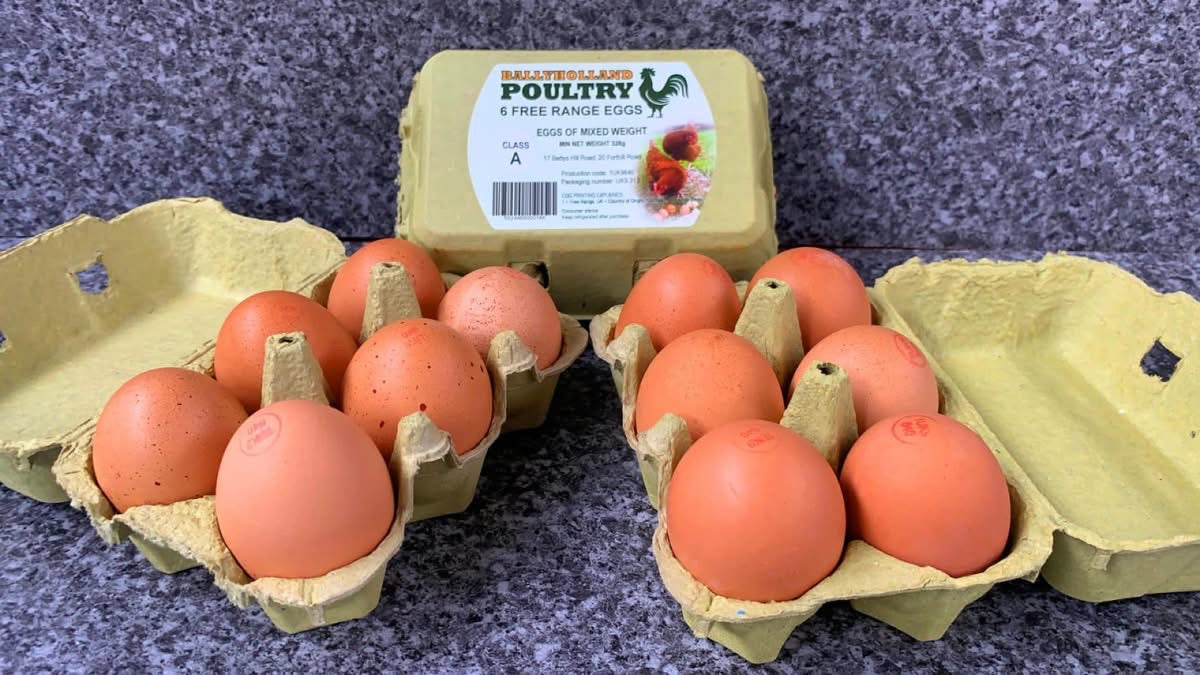 Free Range Eggs
