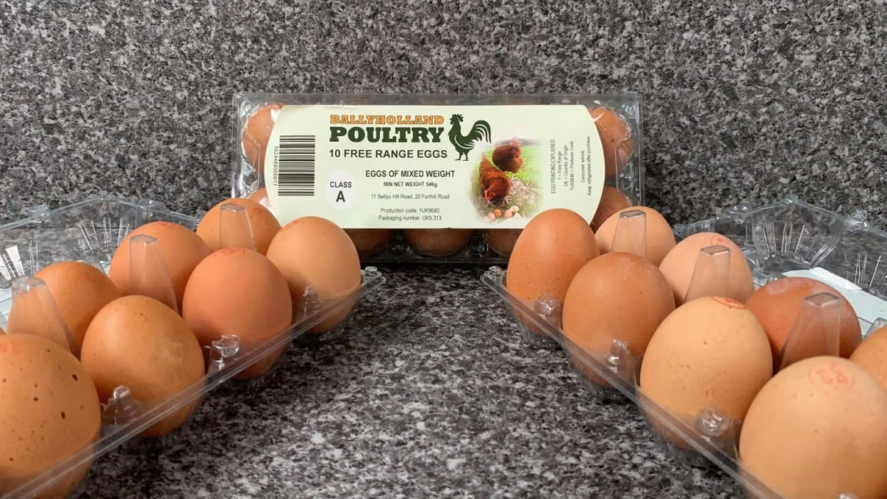 Free Range Eggs