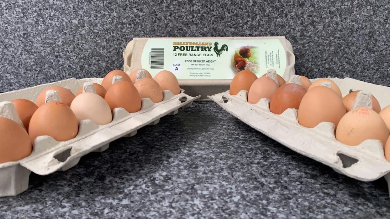 Free Range Eggs