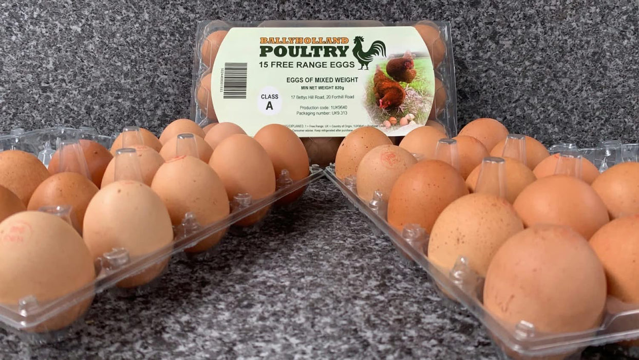 Free Range Eggs