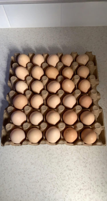 Free Range Eggs