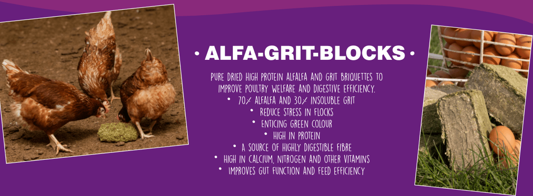 Alfa Grit Block - Ballyholland Poultry