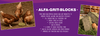Alfa Grit Block - Ballyholland Poultry