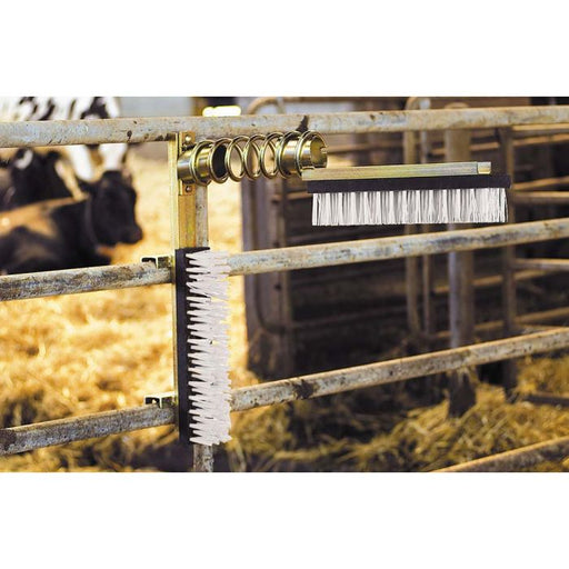 Animal Brush - Ballyholland Poultry