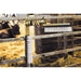 Animal Brush - Ballyholland Poultry