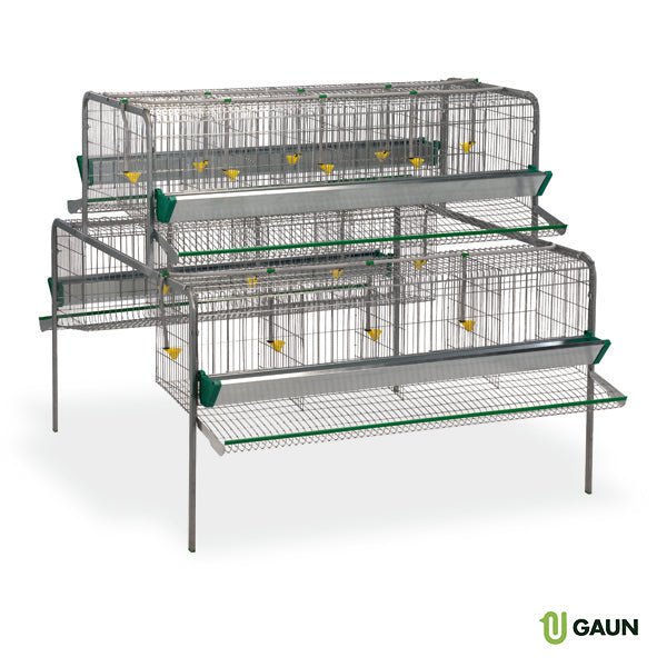BATTERY FOR LAYING HENS 16 COMPART. MAIN CAGE - Ballyholland Poultry