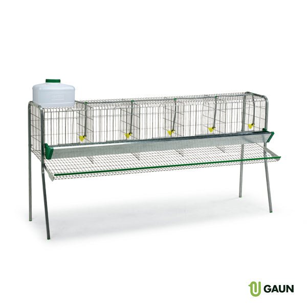 BATTERY FOR LAYING HENS 5 COMPART - Ballyholland Poultry
