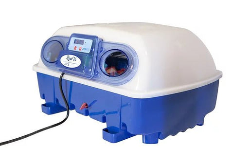 Borotto Incubator | semi-automatic | digital (24 eggs) - Ballyholland Poultry