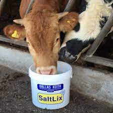 Cattle Salt Hi Trace - Ballyholland Poultry