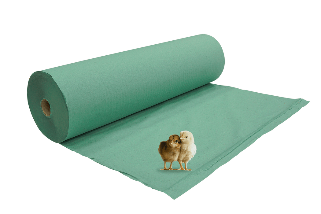 Chick Paper - Ballyholland Poultry