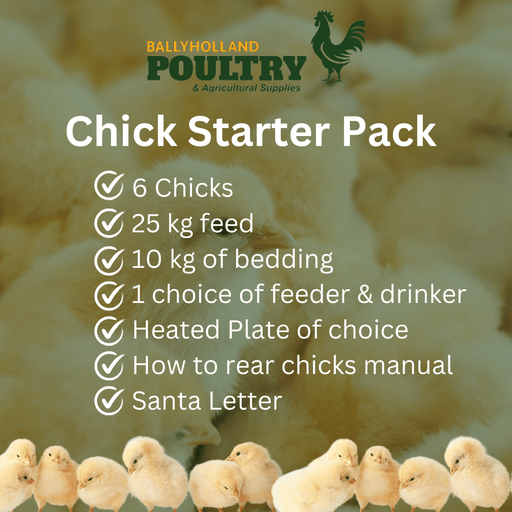 Chick Starter Pack - Ballyholland Poultry