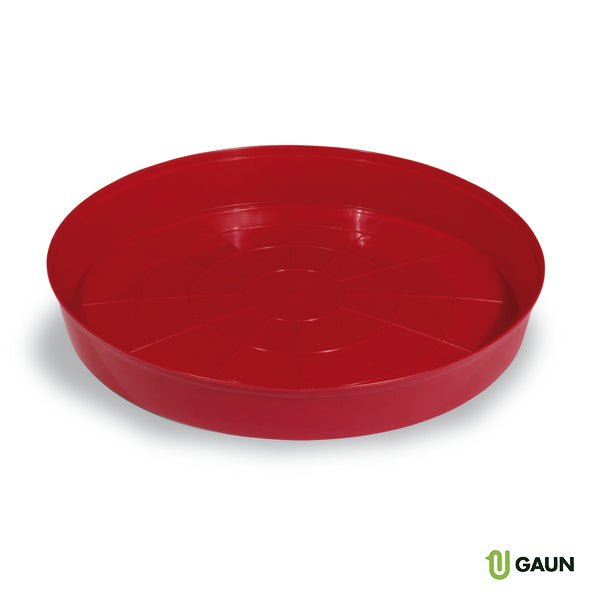 CHICK TRAY FEEDER - Ballyholland Poultry