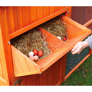 Chicken Coop XXl - Ballyholland Poultry