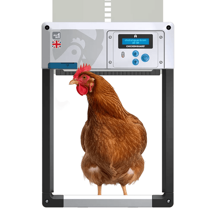 Chicken Guard All In One - Ballyholland Poultry