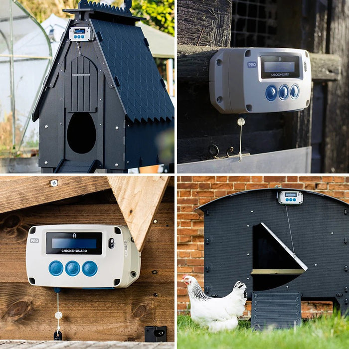Chicken Guard Pro Opener Solar - Ballyholland Poultry