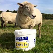 Sheep Hi trace salt lix