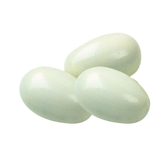 Dummy Egg - Ballyholland Poultry
