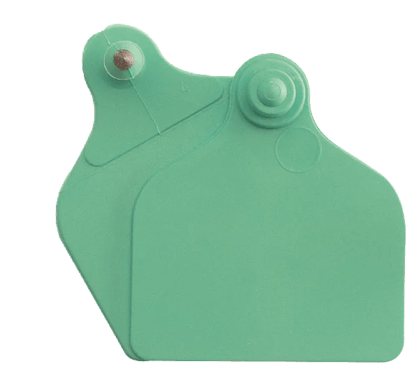 Ear tag Maxi + Maxi (71 mm x 63 mm) | 20 pieces | green - Ballyholland Poultry