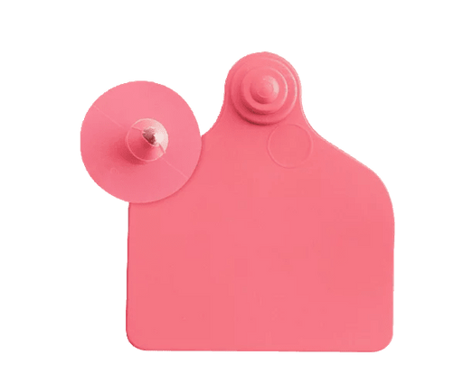 Ear tag Maxi + push button (71 mm x 63 mm) | 20 pieces | red - Ballyholland Poultry