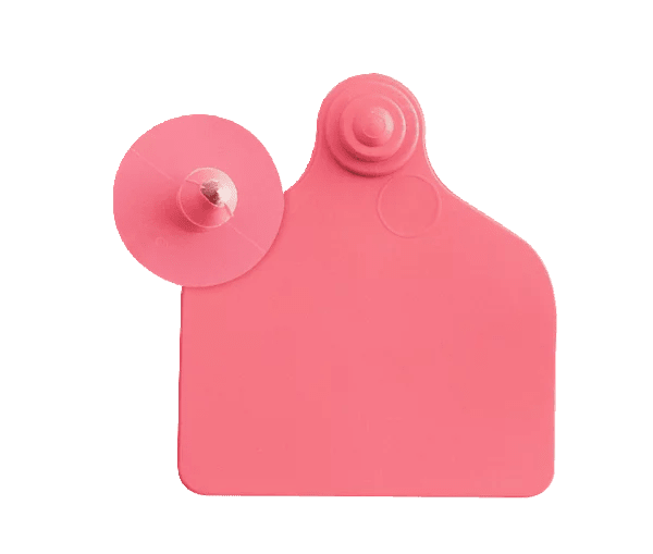 Ear tag Maxi + push button (71 mm x 63 mm) | 20 pieces | red - Ballyholland Poultry