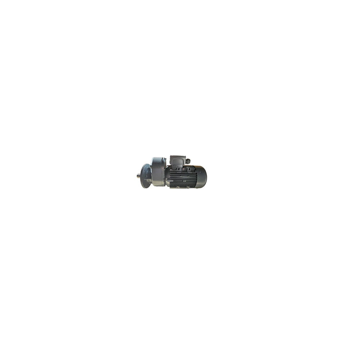 Gearmotor 4 - gray, reducer ratio 21.28, - Ballyholland Poultry