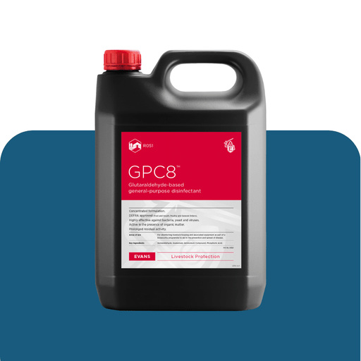 GPC8 - Ballyholland Poultry