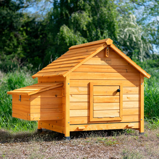 Hen House Without Coop - Ballyholland Poultry