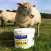 High Zinc SaltLix - Ballyholland Poultry