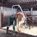 Hoof Care Support for cattle - Ballyholland Poultry
