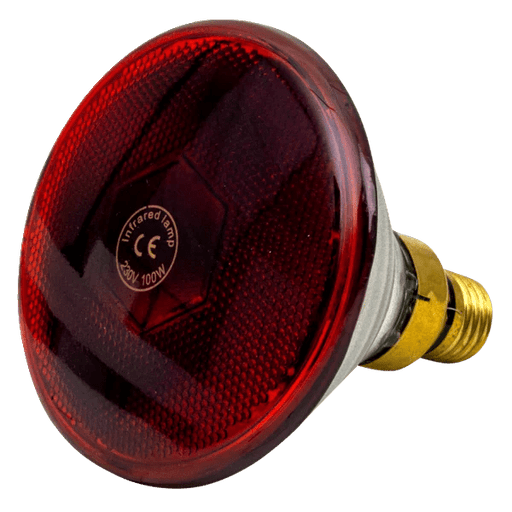 Infrared 100 Watt rt PAR - Ballyholland Poultry