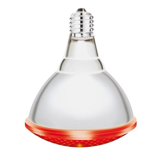 interHeat infrared lamp (2 pieces) | 250 W | red - Ballyholland Poultry