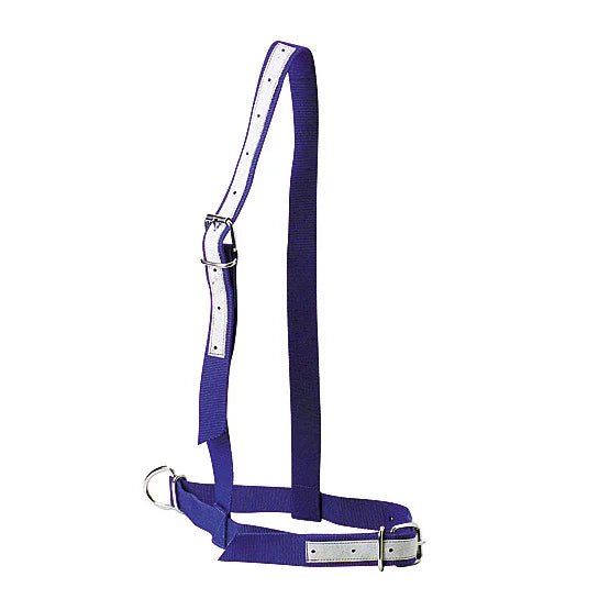 KAMER nylon cattle halter | leather reinforced (57 cm) | blue - Ballyholland Poultry