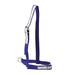 KAMER nylon cattle halter | leather reinforced (57 cm) | blue - Ballyholland Poultry