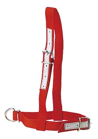 KAMER nylon cattle halter | leather reinforced (57 cm) | red - Ballyholland Poultry