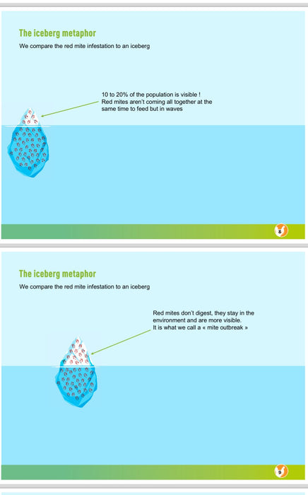 Lentypou+ Red Mite Control and treatment for Poultry - Ballyholland Poultry